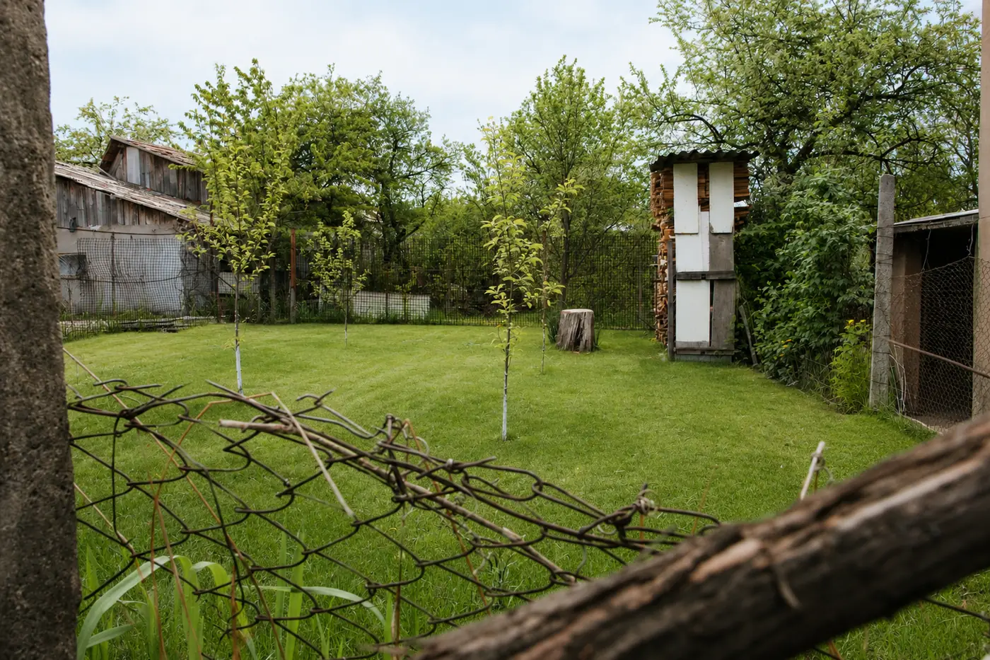 Derselbe Garten nach Rasenschnitt und Aufräumen durch Schwarz Gebäudeservice